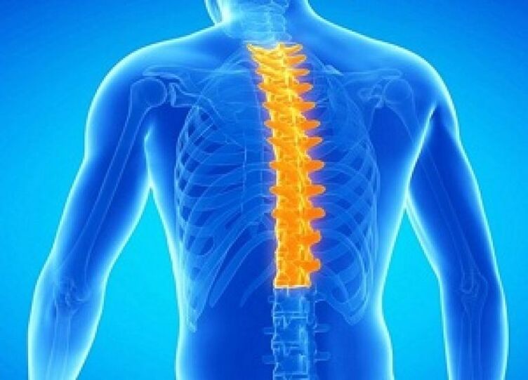 Osteokondroza torakalne kralježnice
